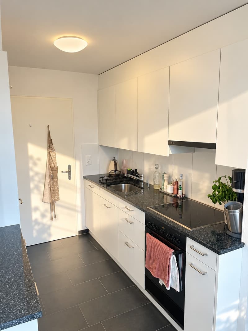 Wohnen im Grünen  helle 2.5-Zimmer-Wohnung mit sonnigem Balkon (6)