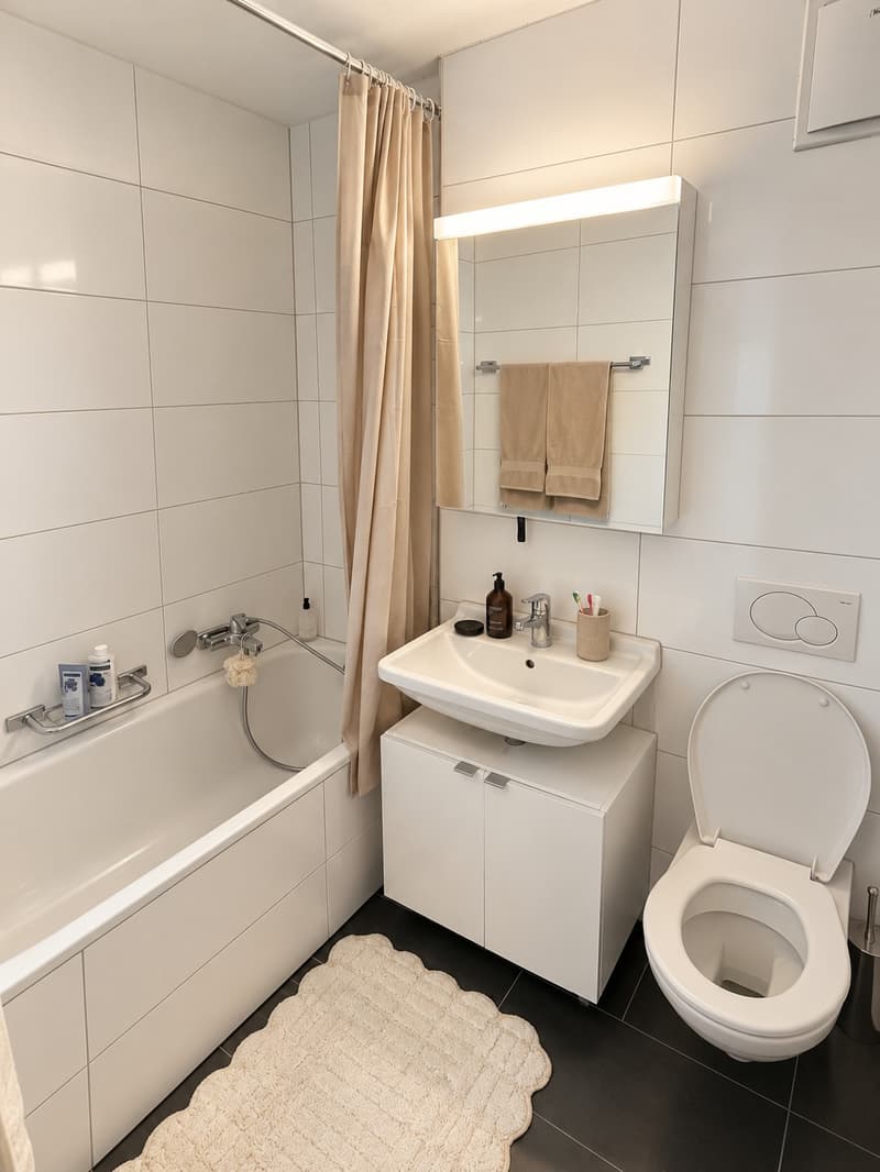 Wohnen im Grünen  helle 2.5-Zimmer-Wohnung mit sonnigem Balkon (10)