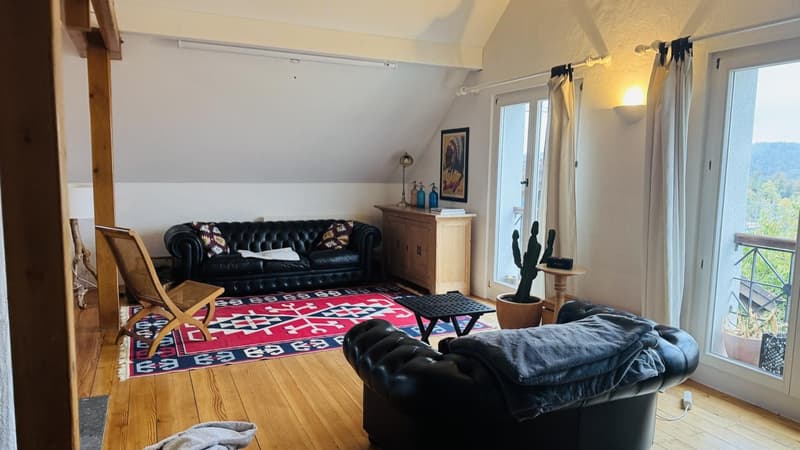 Ruhiges WG Zimmer bei Aarau mit Aussicht und Garten (7)