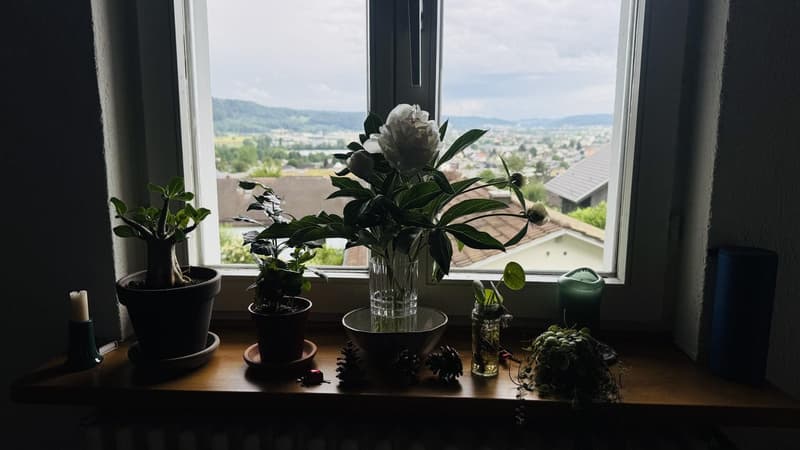 Ruhiges WG Zimmer bei Aarau mit Aussicht und Garten (3)