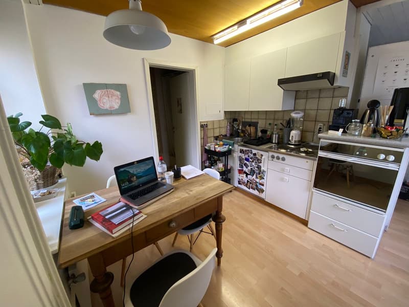 Super gemutliche 1.5 Zimmer Wohnung zentral und ruhig (5)