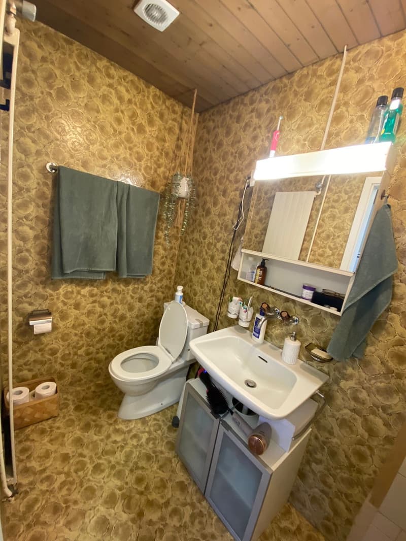 Super gemutliche 1.5 Zimmer Wohnung zentral und ruhig (4)