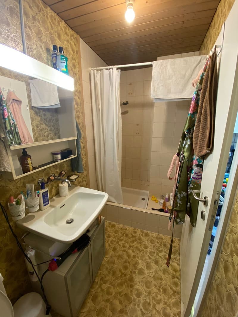 Super gemutliche 1.5 Zimmer Wohnung zentral und ruhig (3)