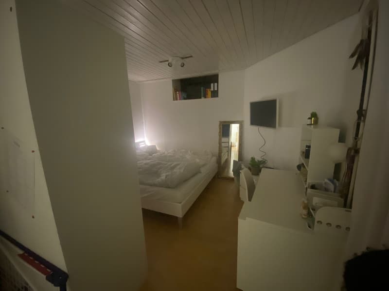 Super gemutliche 1.5 Zimmer Wohnung zentral und ruhig (1)