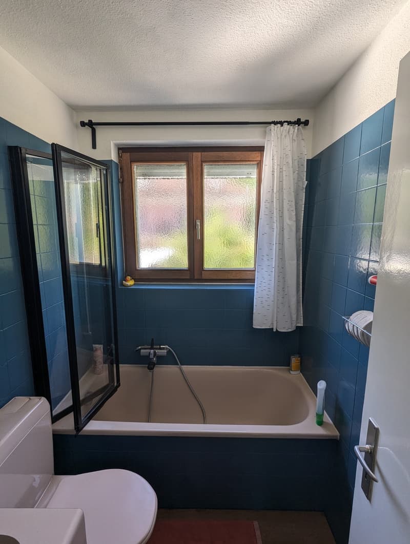 WG Zimmer, 4632 Trimbach (2)