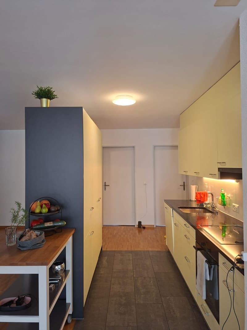 Nachmieter gesucht für schöne 4.5-Zimmer-Wohnung ab 01.02.2027 (2)