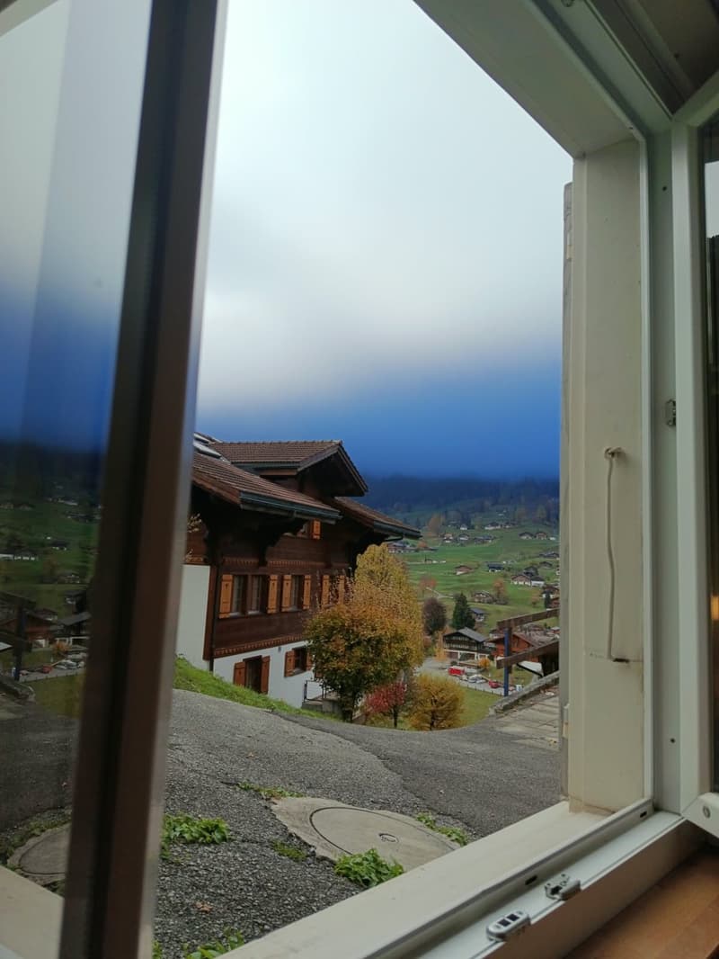 Gemütliche 2.5-Zimmer-Wohnung mit schönem Bergblick in Grindelwald (3)