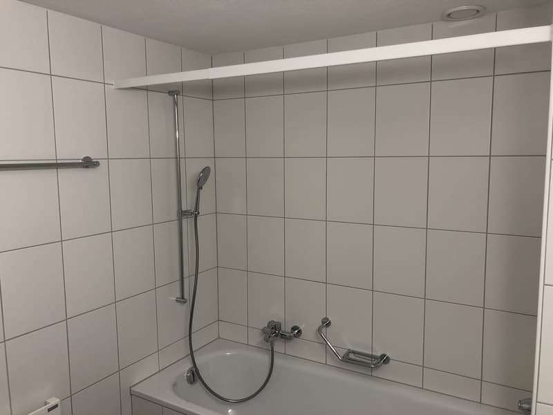 Nachmieter für grosse 2.5-Zimmer-Wohnung im Berner Breitenrain gesucht (10)