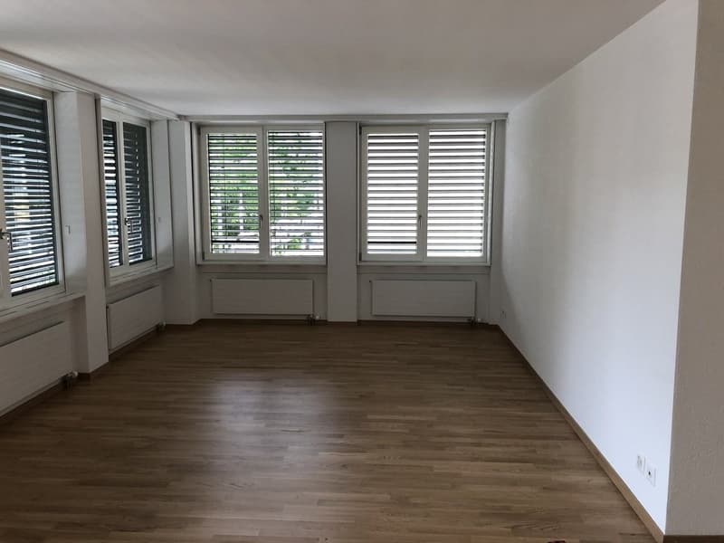 Nachmieter für grosse 2.5-Zimmer-Wohnung im Berner Breitenrain gesucht (1)