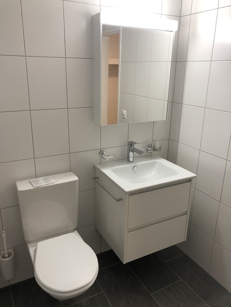 Nachmieter für grosse 2.5-Zimmer-Wohnung im Berner Breitenrain gesucht (11)
