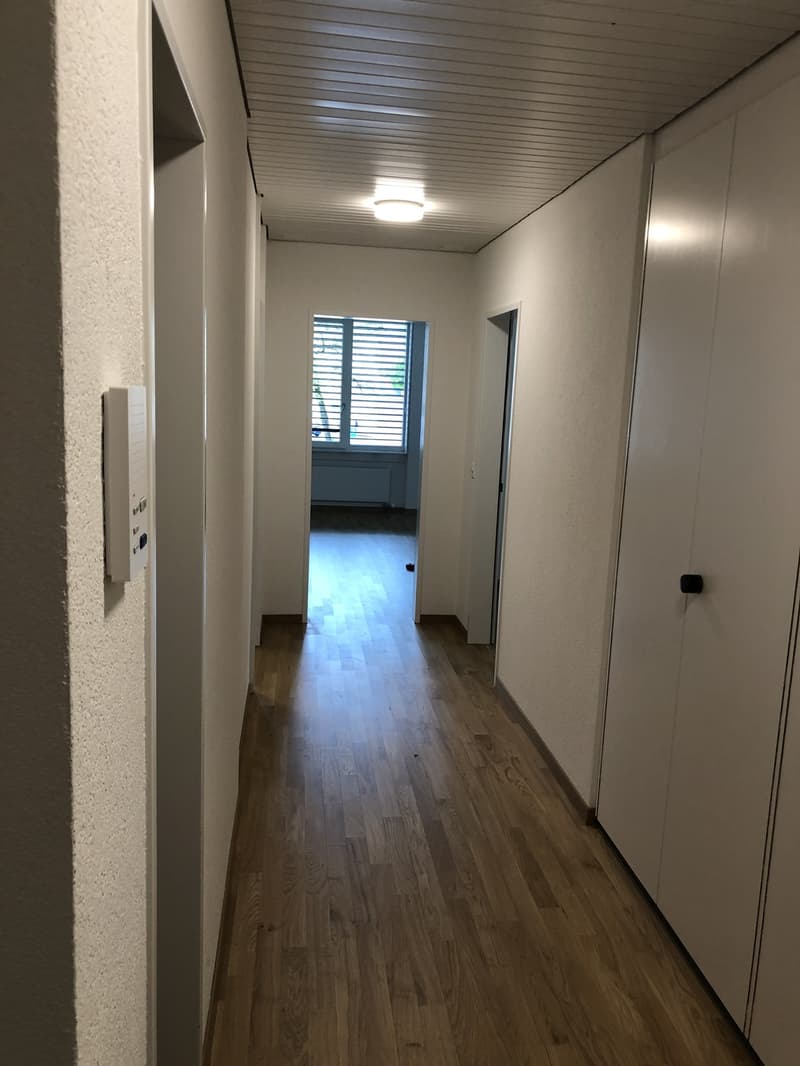 Nachmieter für grosse 2.5-Zimmer-Wohnung im Berner Breitenrain gesucht (7)