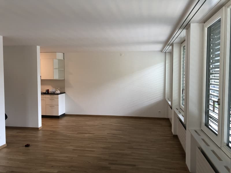 Nachmieter für grosse 2.5-Zimmer-Wohnung im Berner Breitenrain gesucht (2)