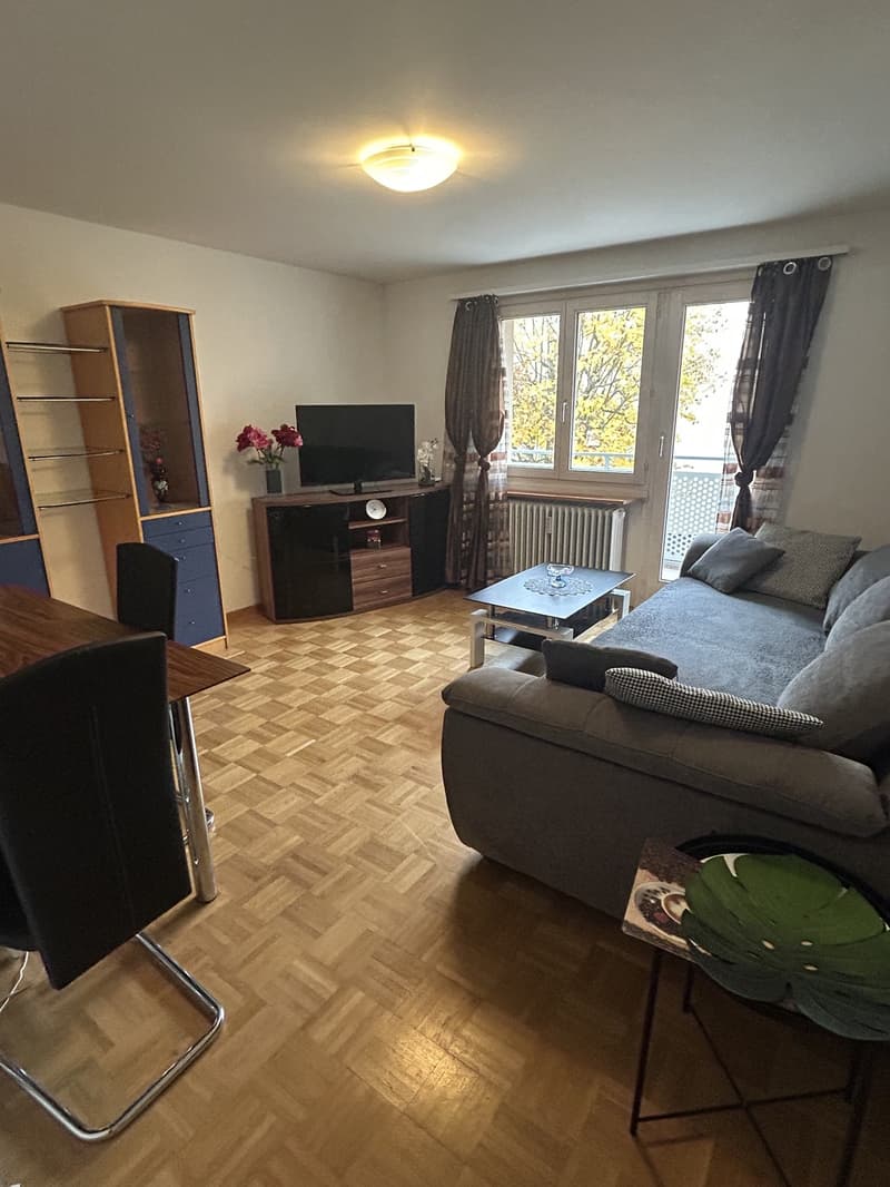 4-Zimmer-Wohnung im Grünen (1)