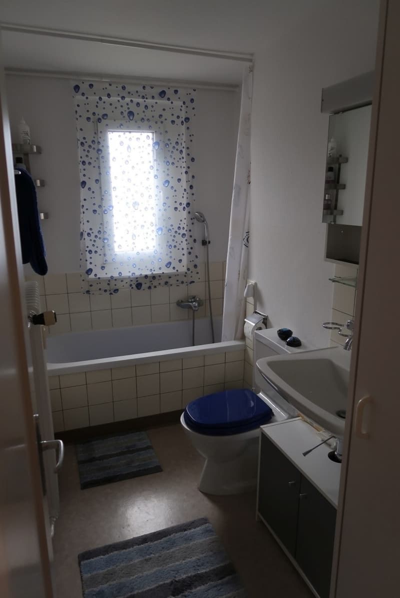 4-Zimmer-Wohnung im Grünen (3)