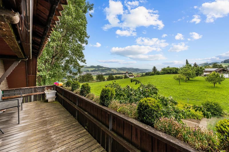 A balcony with wooden flooring and a metal railing overlooking a grassy landscape with a blue sky. There is a wooden house in the distance. A wooden chair and a potted plant are on the balcony.