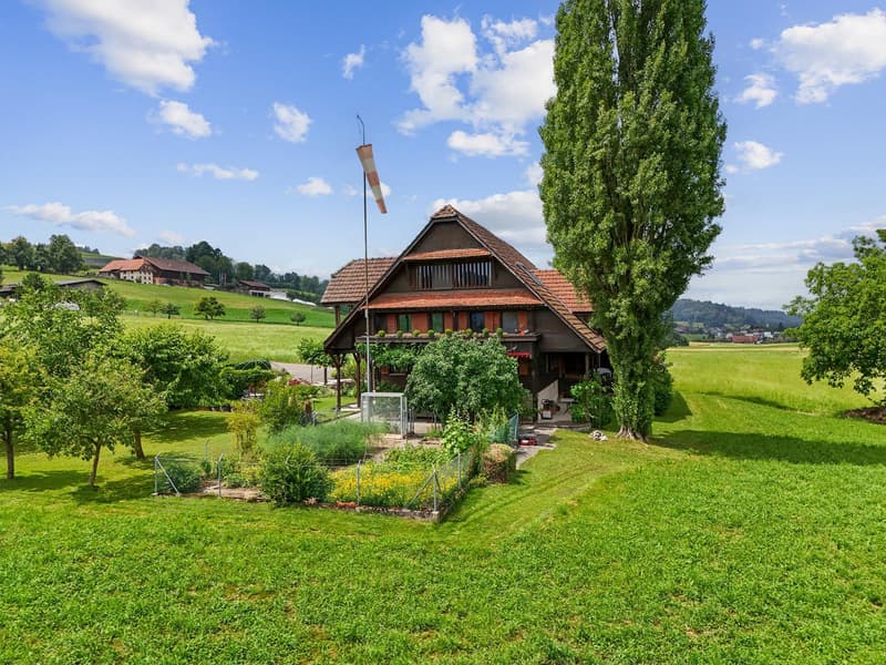 2-story wooden house, brown roof, green lawn, garden, flagpole