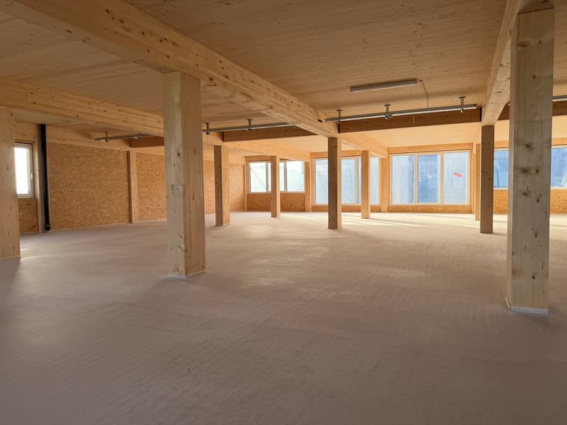 Empty room with wooden beams, concrete floor, large windows, unfinished walls