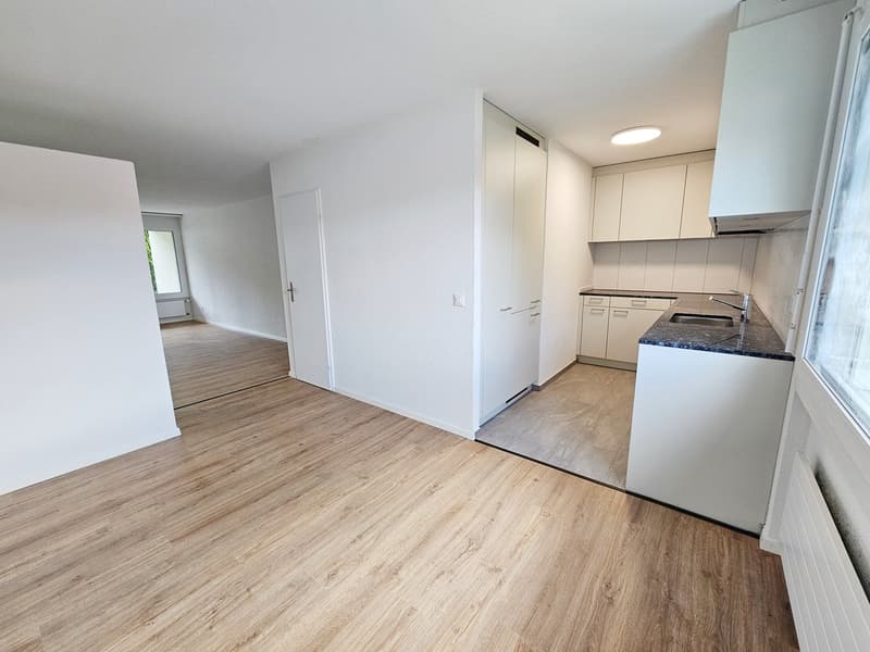 Emménager et se sentir chez soi - appartement de jardin de 4,5 pièces complètement rénové (1)