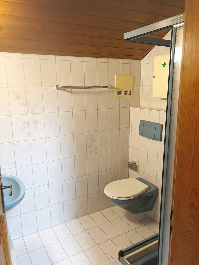 Gemütliche 2.5-Zi-Dachwohnung im Zentrum von Triengen (6)