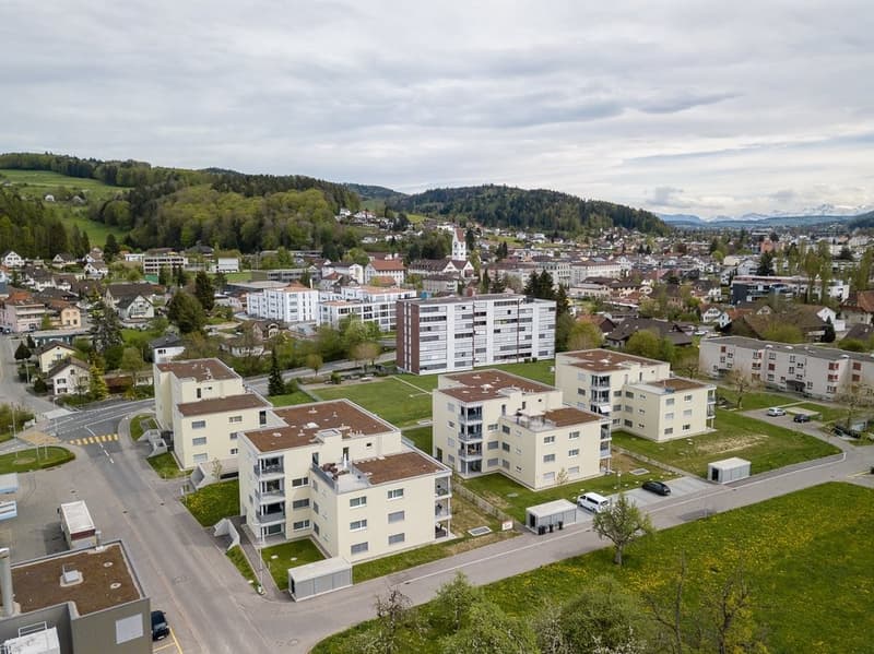 Gruenauweg-Binzhaltenstr-Unterkulm_DJI_0083.jpg