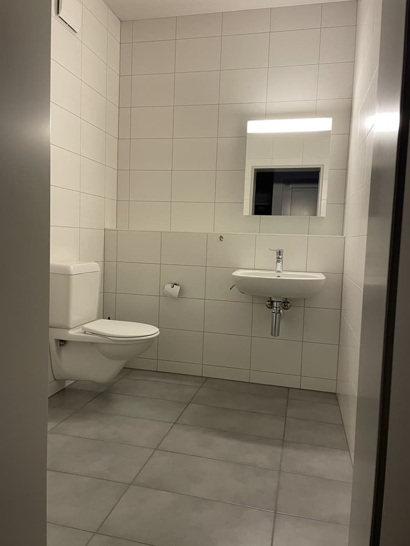 112-03-0001-Gwerberaum-WC-006.jpg