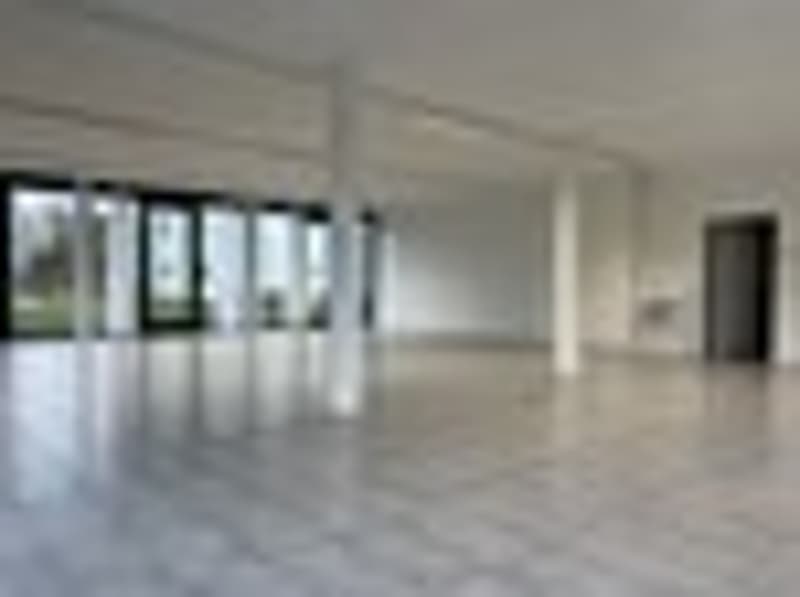 Commercial or office space - 2 months net rent free (6)