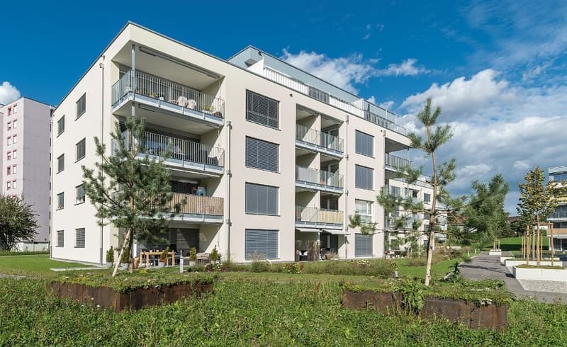 Haus_7_Eichmattstrasse_12_Bild_001.JPG