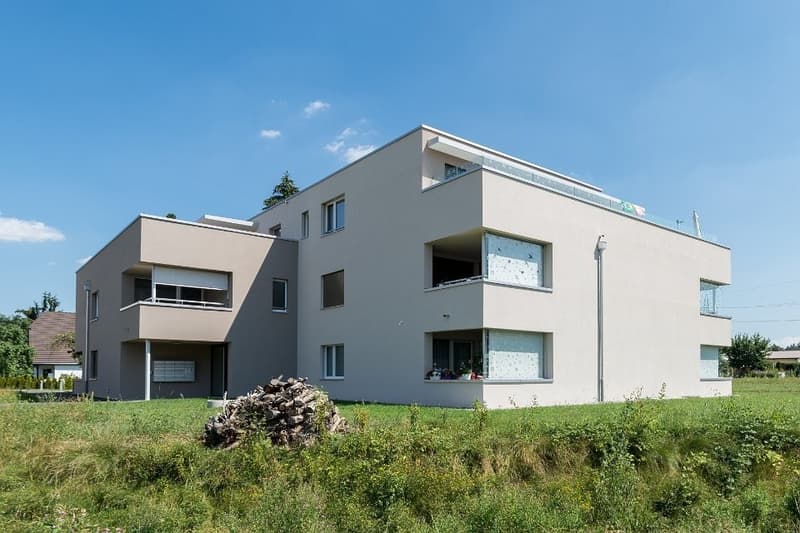 Am_Bach_7_Hendschiken_001.jpg