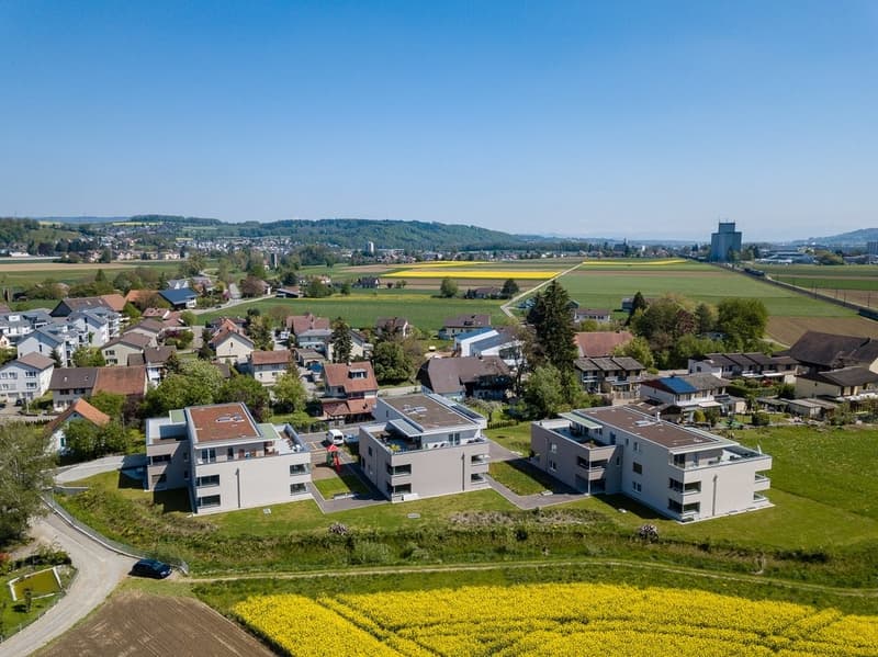 Am-Bach-3-5-7-Hendschiken_DJI_0044.jpg