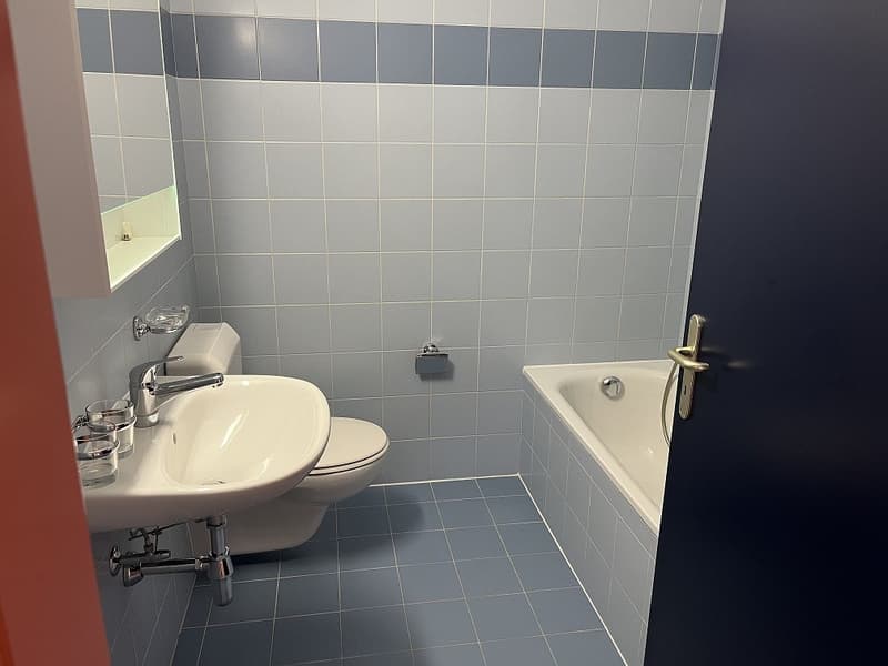 Cozy 3.5-room apartment in Faido (2)