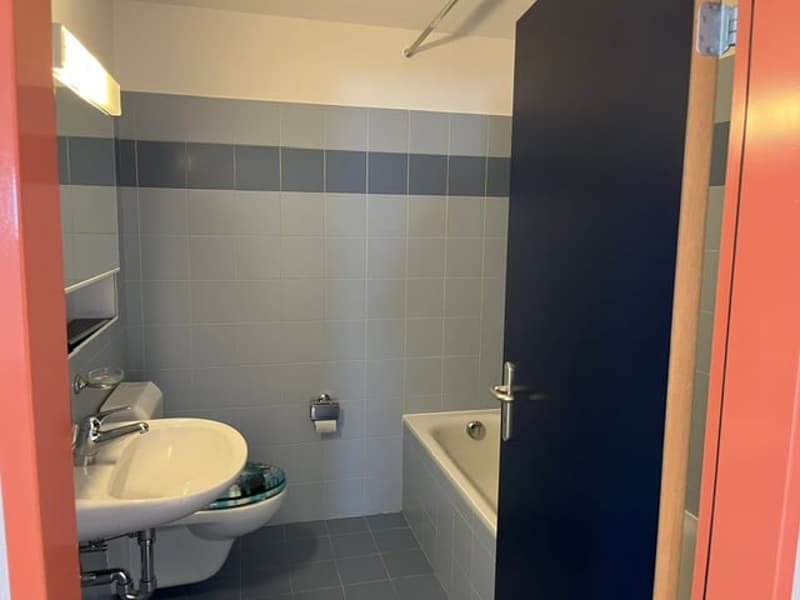Appartement accueillant de 3.5 pièces à Faido (4)