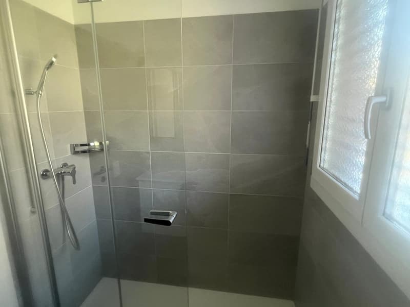 2.5 locali rinnovato con terrazzo (6)