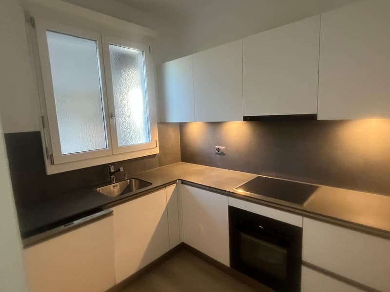 2.5 locali rinnovato con terrazzo (9)