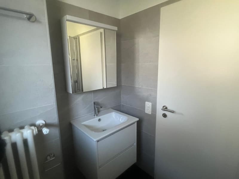 2.5 locali rinnovato con terrazzo (8)