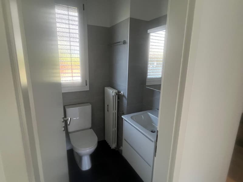 2.5 locali rinnovato con terrazzo (4)