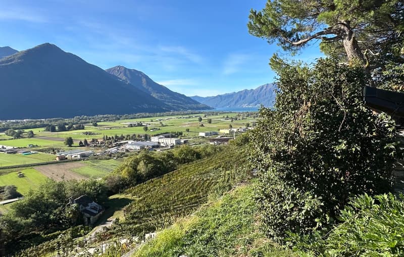 Casa di vacanza con grande giardino e vista aperta (11)