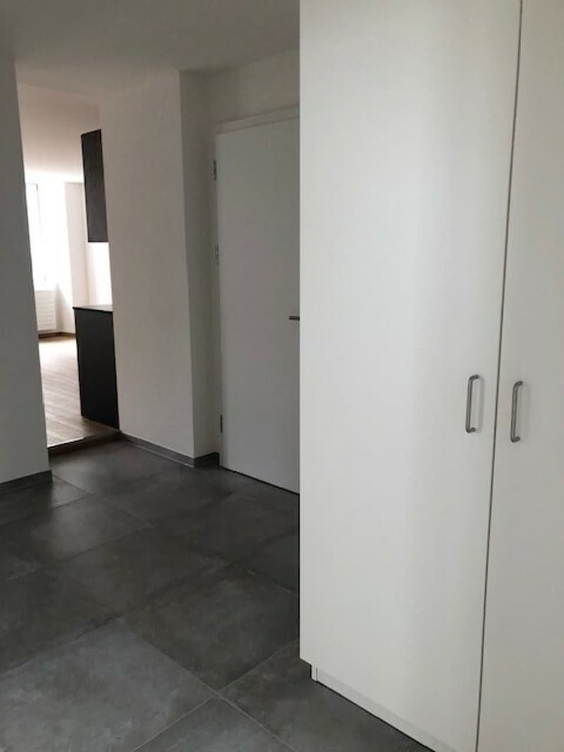 3 rooms fully renovated, Neuve 6, La Chaux-de-Fonds (8)