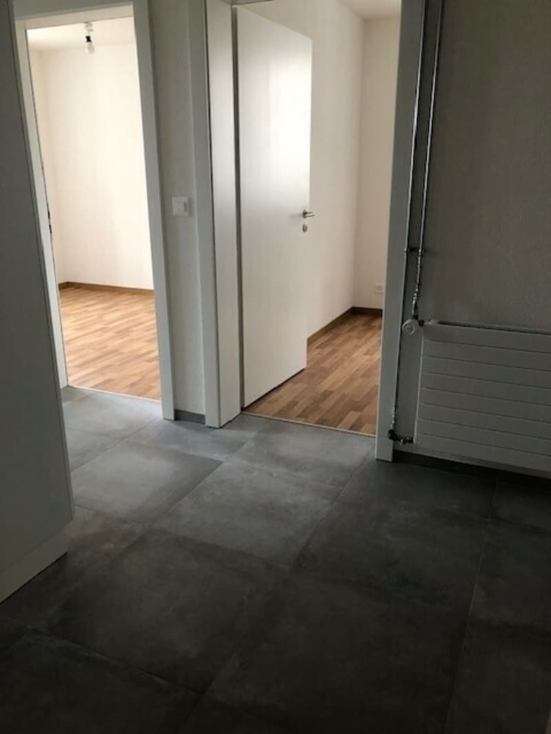 3 rooms fully renovated, Neuve 6, La Chaux-de-Fonds (9)