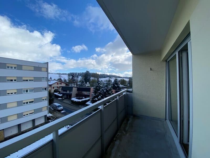 In quiet neighborhood, 3.5 rooms, Vieux-Patriotes 48, La Chaux-de-Fonds (9)