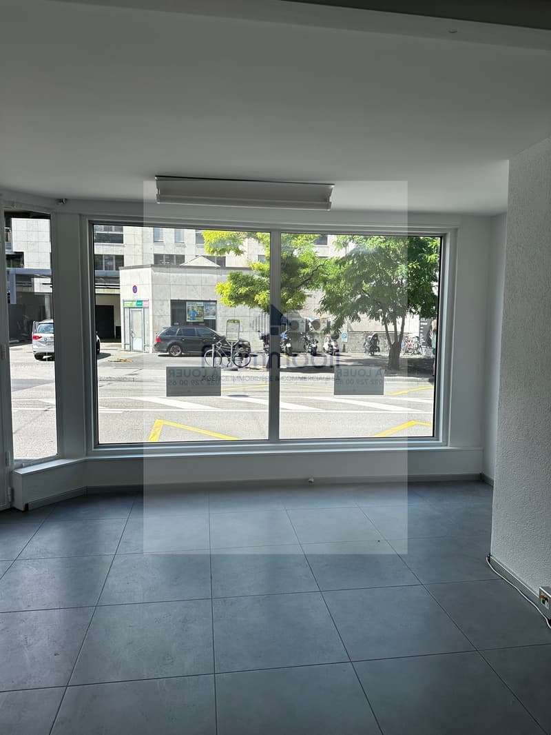 Commercial property in the city center (2)