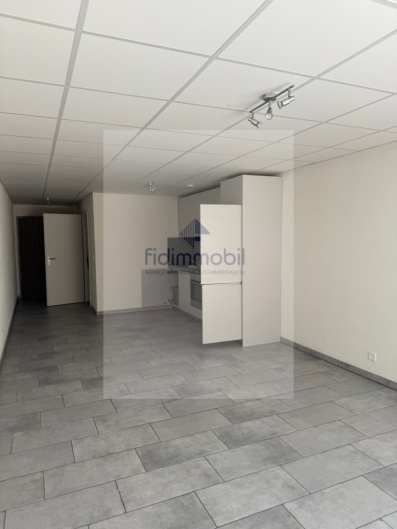 Studio in the city center (2)