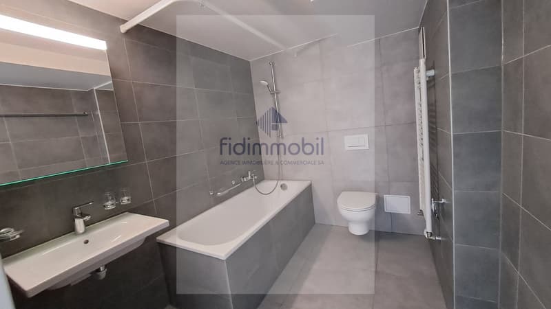 2.5-room apartment in a recently renovated building (4)