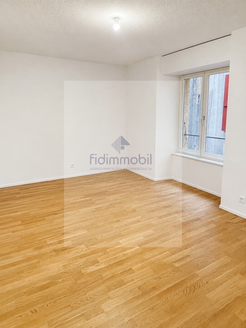Fully renovated apartment in the city center (4)