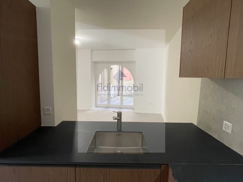 Fully renovated apartment in the city center (3)