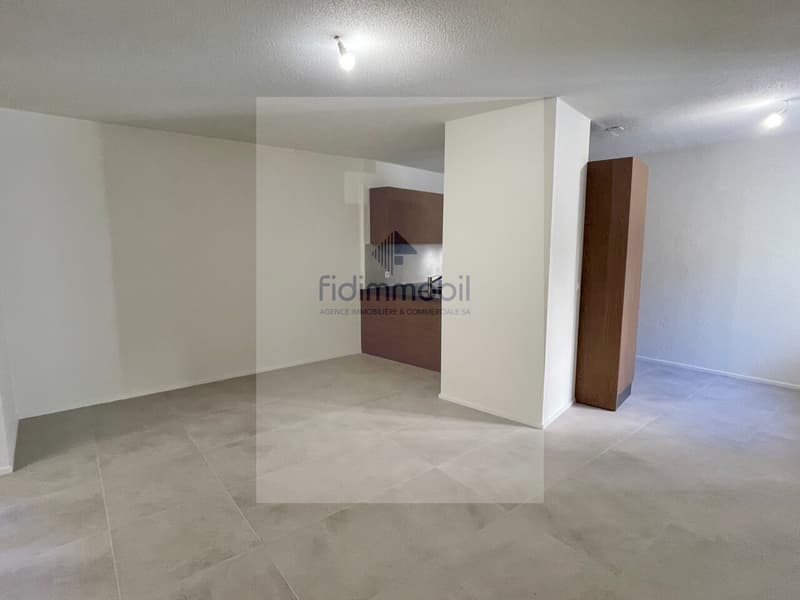 Fully renovated apartment in the city center (4)
