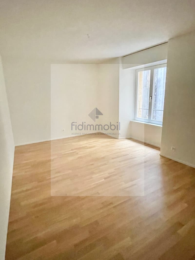 Fully renovated apartment in the city center (6)