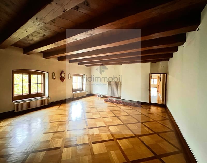 Splendid 4.5-room apartment in the city center (2)