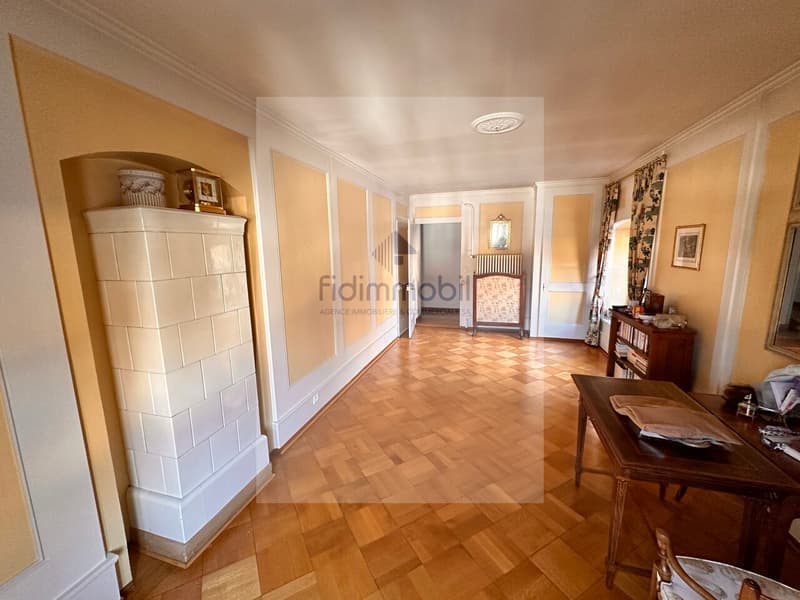 Splendid 4.5-room apartment in the city center (5)