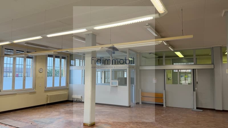 Ampio locale polivalente ideale per la posizione (3)