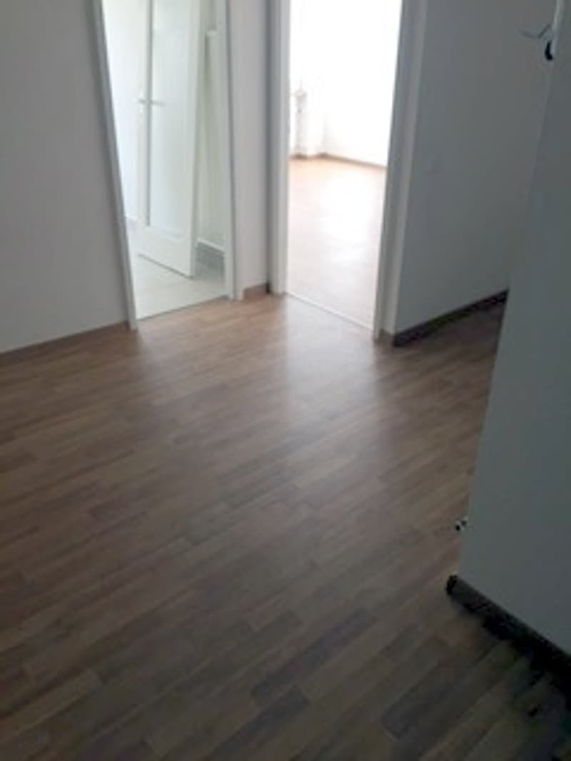 Zu vermieten, 2 Zimmer, Grenier 20, La Chaux-de-Fonds (2)